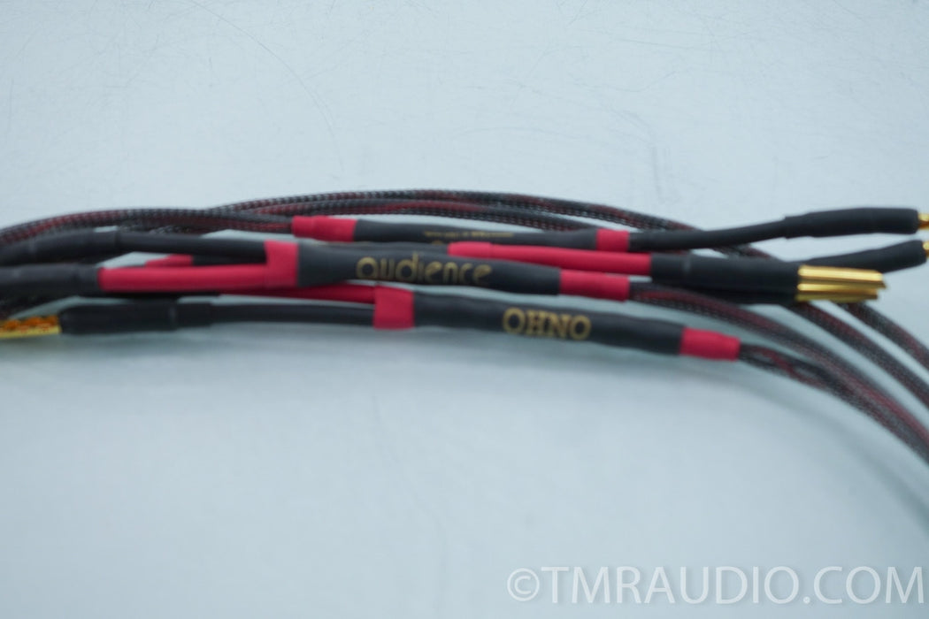 Audience Ohno Speaker Cables