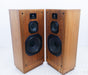 McIntosh XD717 Floorstanding Speakers