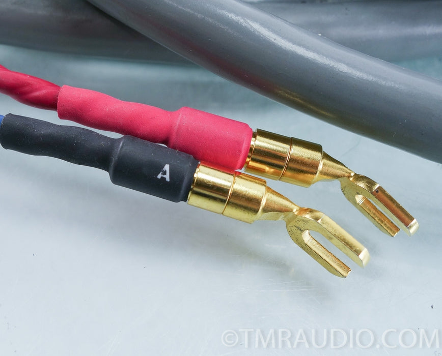 Tara Labs RSC Prime 500 Speaker Cables