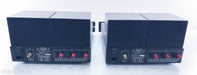 Lamm ML1 Mono Tube Power Amplifiers