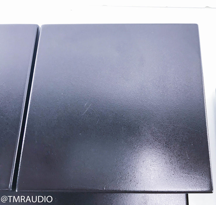 Lamm ML1 Mono Tube Power Amplifiers