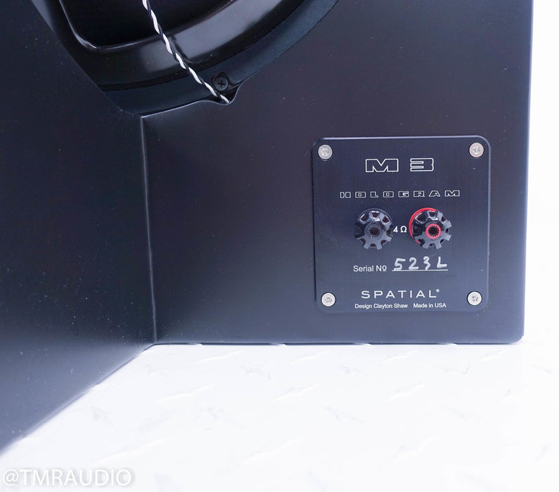 Spatial Hologram M3 Floorstanding Speakers