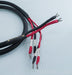 Cardas Golden Reference Biwire Speaker Cables