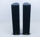 Sonus Faber Liuto Wood Floorstanding Speakers