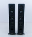 Sonus Faber Domus Grand Piano Floorstanding Speakers