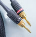 Monster Z2 Biwire Speaker Cable
