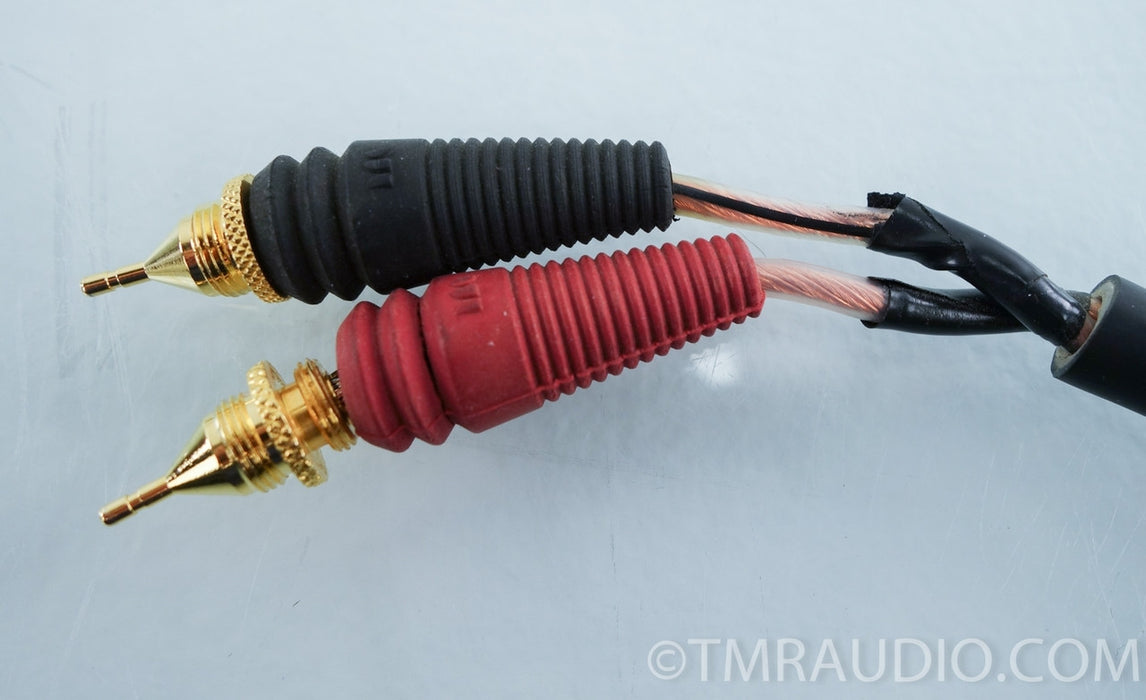 Monster Z1R Speaker Cable