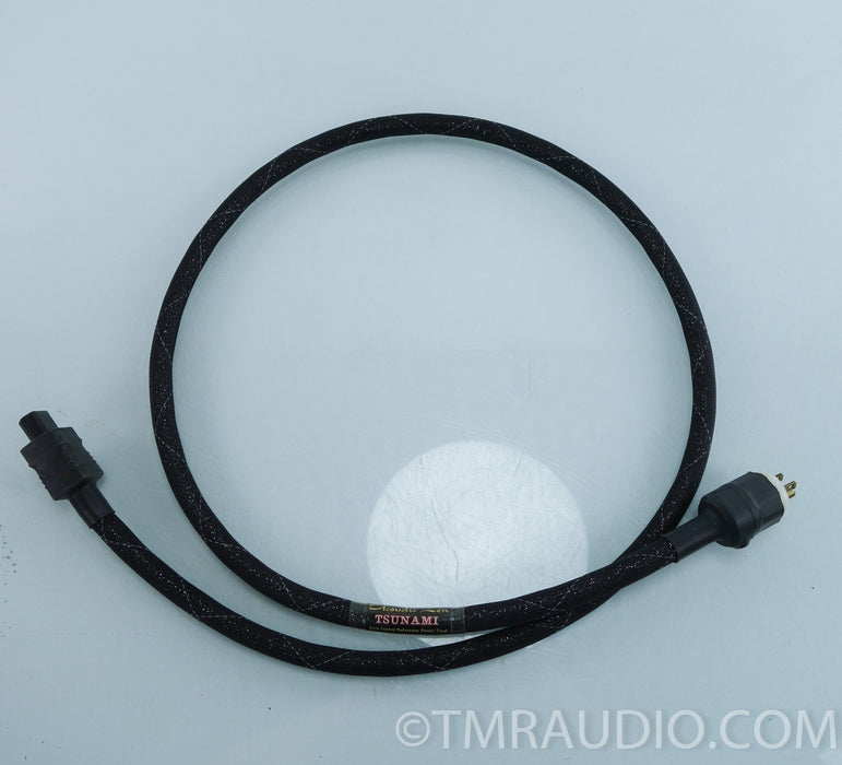 Acoustic Zen Tsunami Power Cable