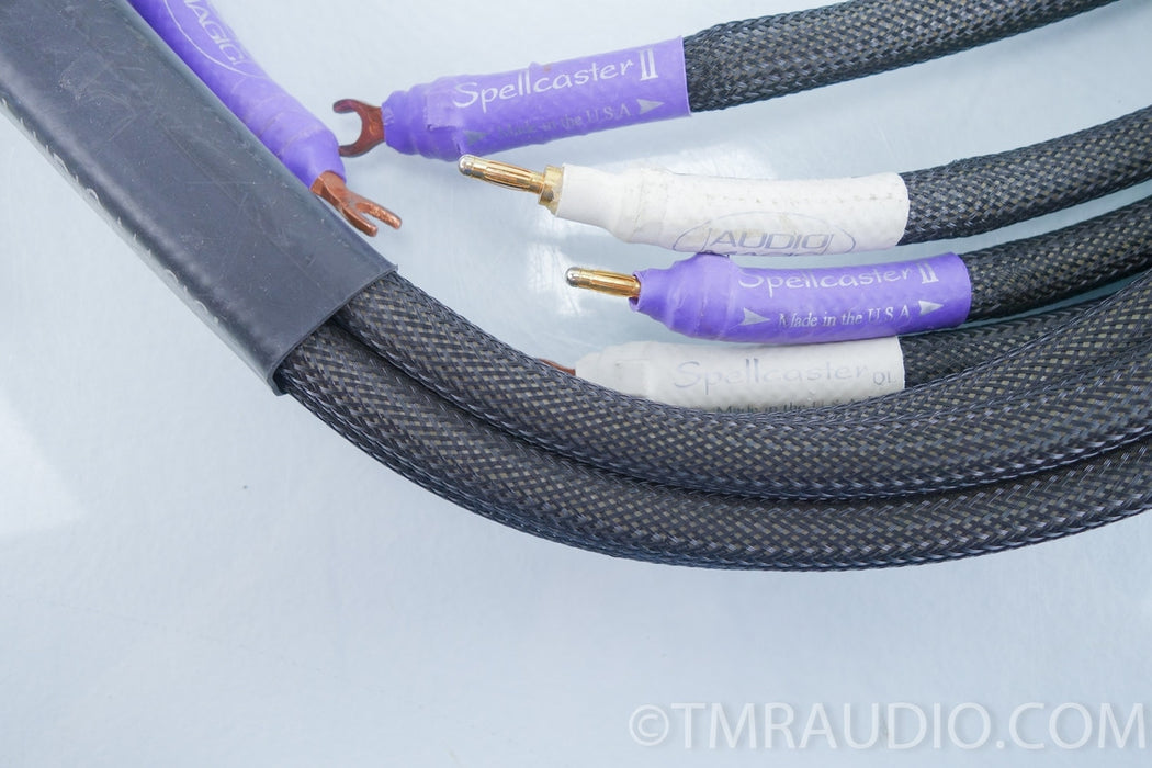 Audio Magic Spellcaster II Bi-wire Speaker Cables