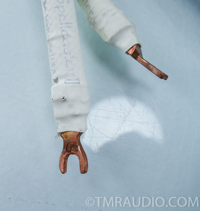 Audio Magic Spellcaster II Bi-wire Speaker Cables