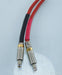 Madrigal / Levinson CAMAC Connector