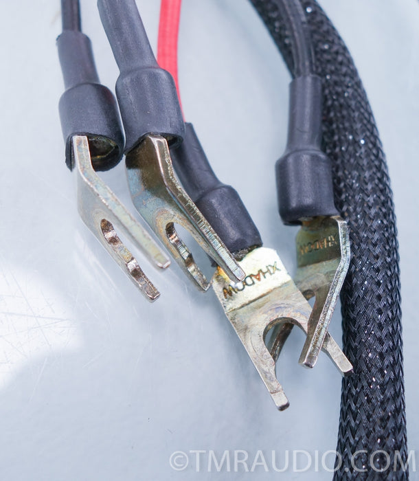 WyWires Silver Speaker Cables