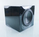 Rythmik F12 SE Direct Servo subwoofer