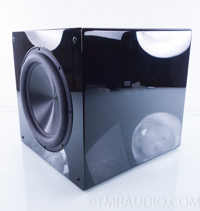 Rythmik F12 SE Direct Servo subwoofer