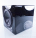 Rythmik F12 SE Direct Servo subwoofer