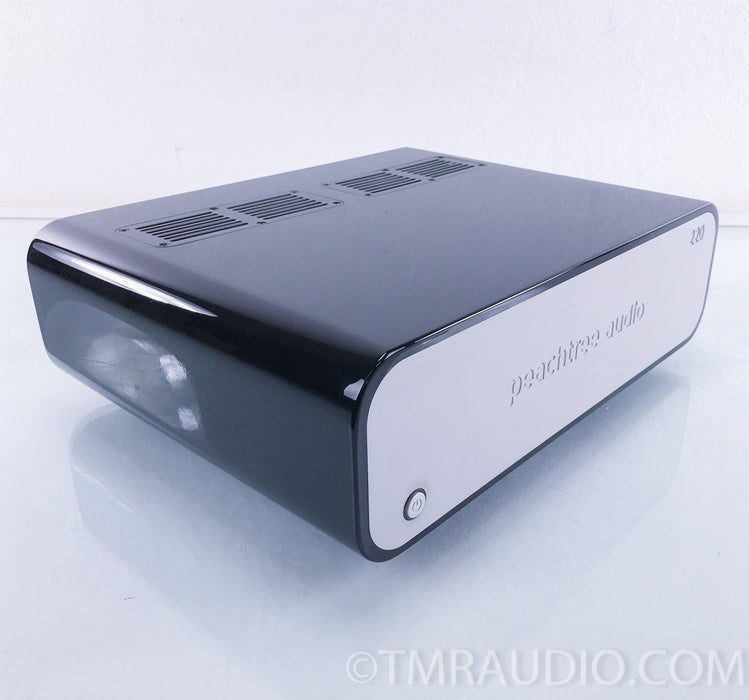 Peachtree Audio 220 Power Amplifier