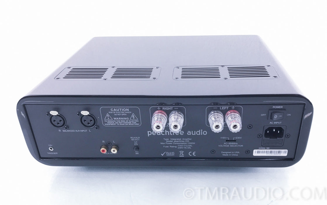 Peachtree Audio 220 Power Amplifier