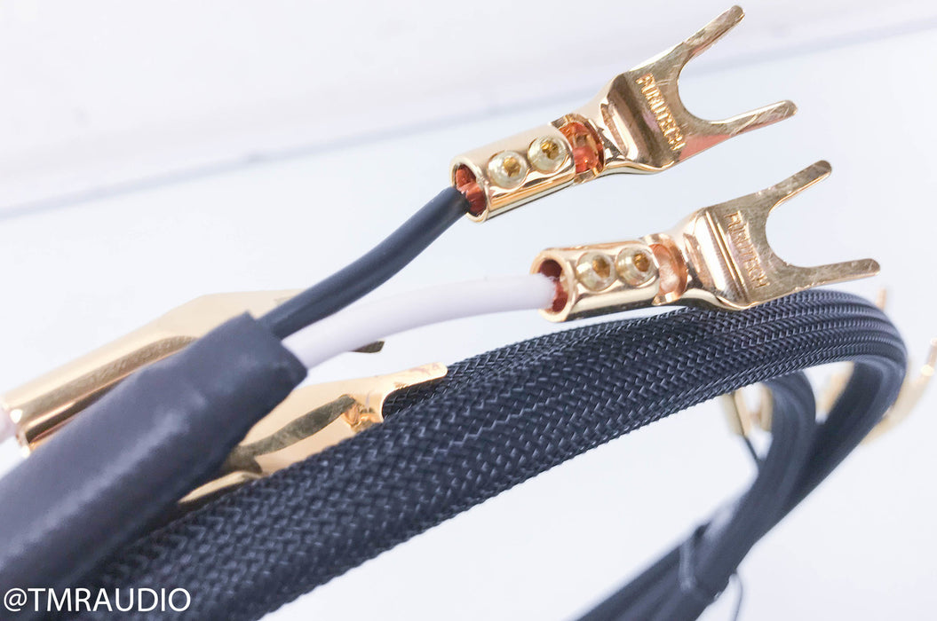 LessLoss Homage to Time Speaker Cables