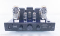 Cary CAD-300 SEI Stereo Tube Integrated Amplifier