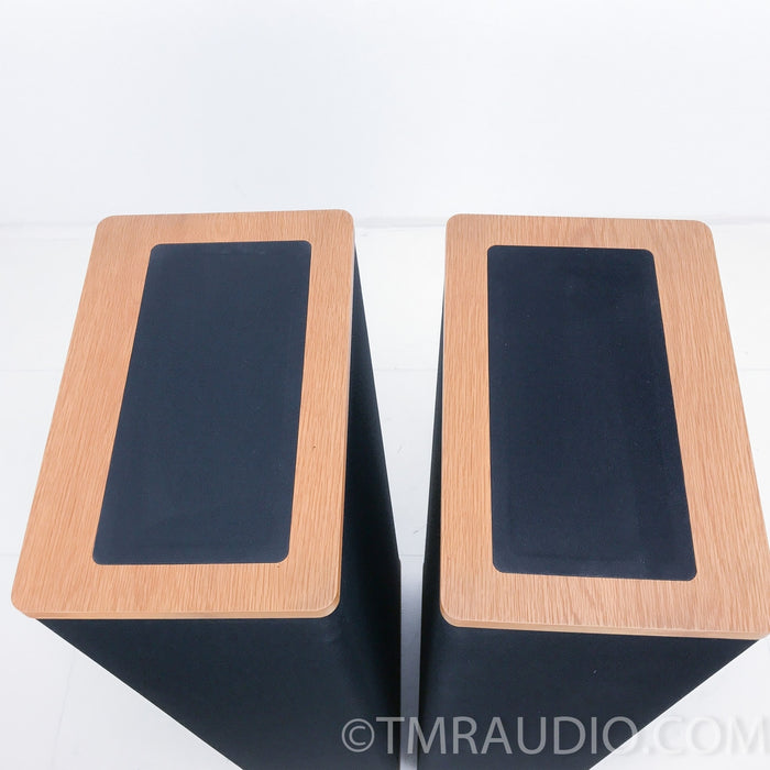Vandersteen 2CE Floorstanding Speakers w/ Metal Stands