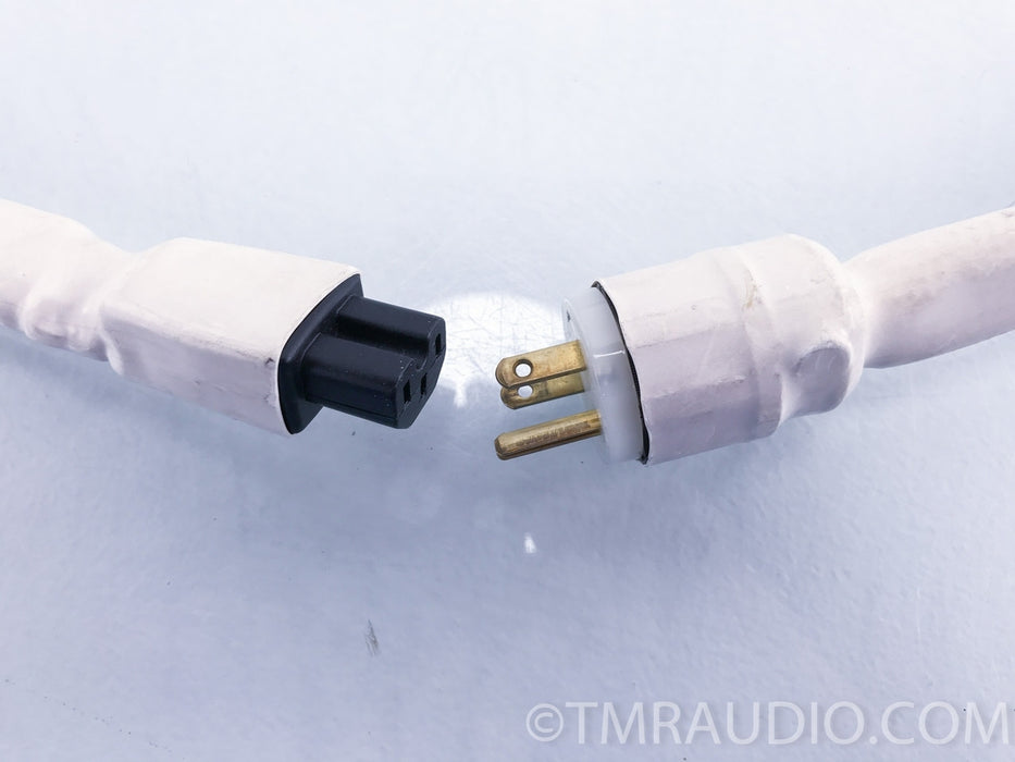 Synergistic Research Resolution Reference Mark II Master Coupler Power Cable