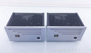 VTL Tiny Triode 25 Limited Edition Mono Tube Amplifiers