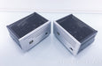VTL Tiny Triode 25 Limited Edition Mono Tube Amplifiers