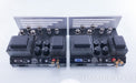 VTL Tiny Triode 25 Limited Edition Mono Tube Amplifiers