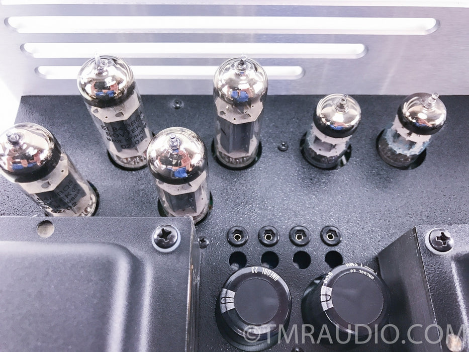 VTL Tiny Triode 25 Limited Edition Mono Tube Amplifiers
