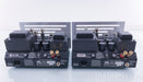 VTL Tiny Triode 25 Limited Edition Mono Tube Amplifiers