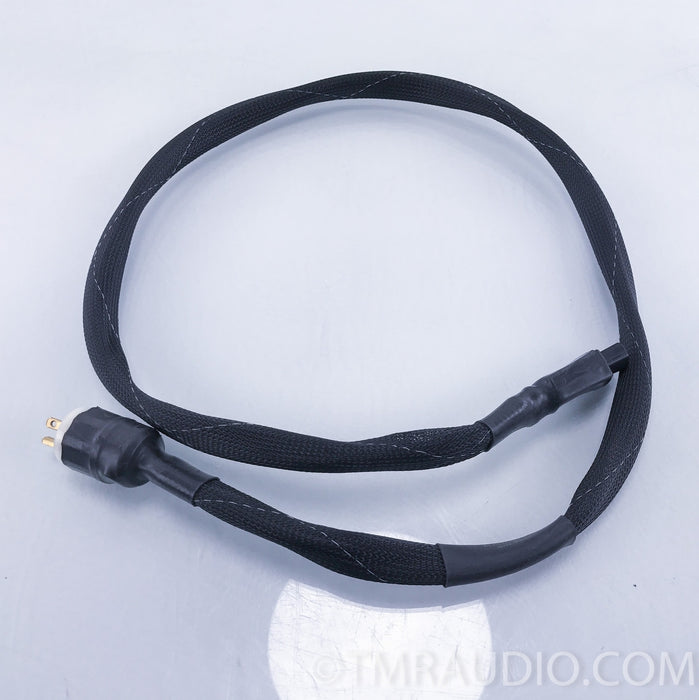 Synergistic Research A/C Master Coupler Power Cable