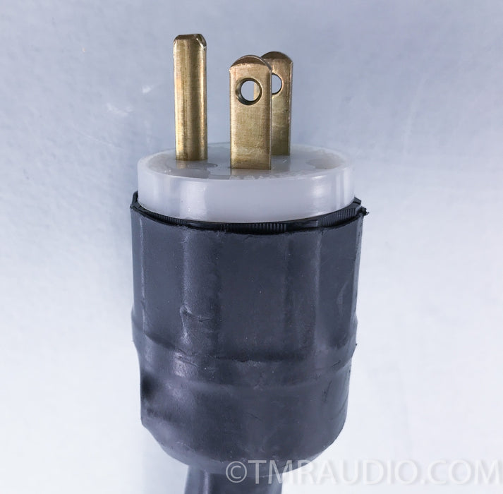 Synergistic Research A/C Master Coupler Power Cable