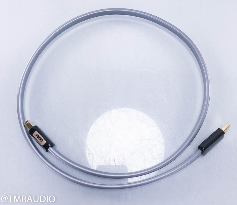WireWorld Platinum Starlight USB Cable