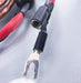 Wireworld Mini Eclipse 7 Speaker Cables