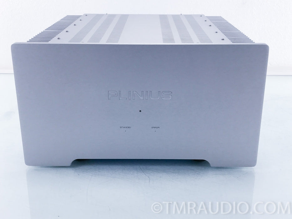 Plinius HT-301 Stereo Power Amplifier (Pro Version of SB-301)