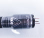 Shunyata Research Ztron Cobra Power Cable