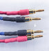 Tara Labs RSC Prime Speaker Cables