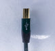 Audioquest Forest USB Cable
