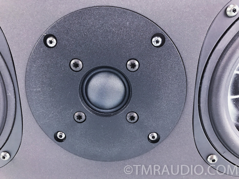 Vienna Acoustics Theatro Center Channel Speaker