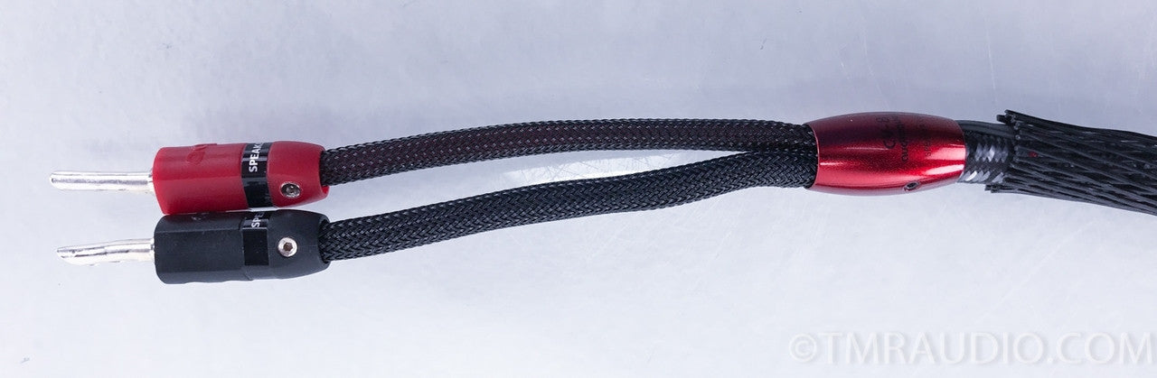 Audioquest CV-8 Speaker Cables