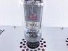 LampizatOr Big 7 Tube DSD DAC