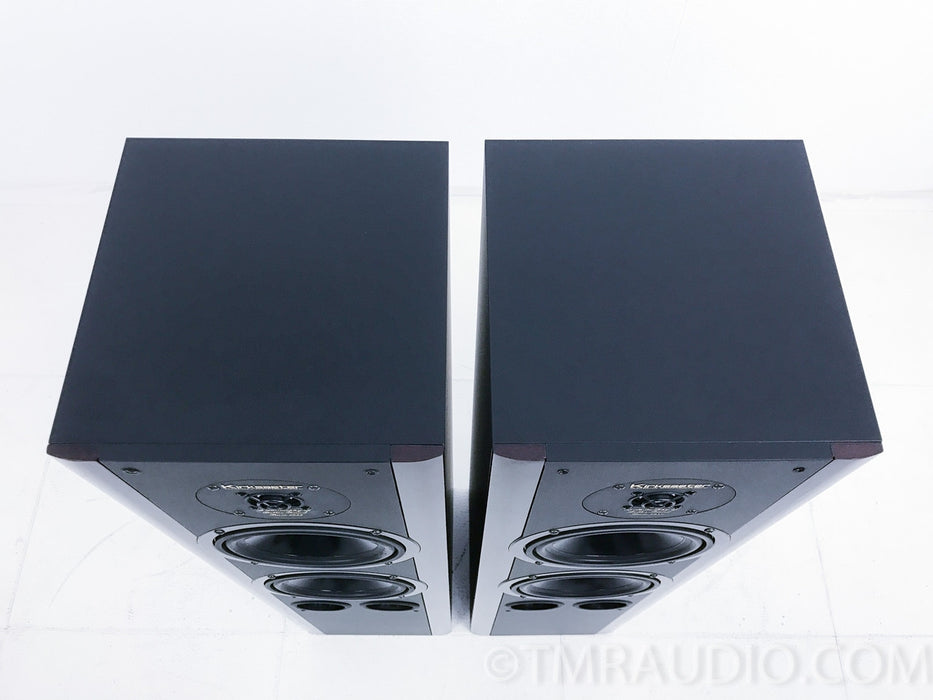 Kirksaeter Silverline 120 Floorstanding Speakers