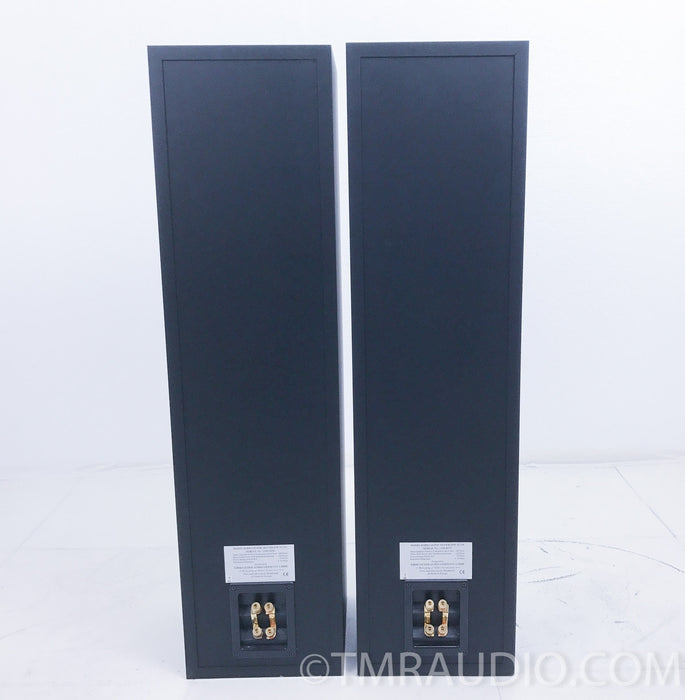 Kirksaeter Silverline 120 Floorstanding Speakers