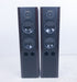 Kirksaeter Silverline 120 Floorstanding Speakers