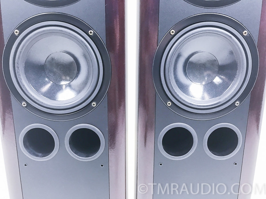Kirksaeter Silverline 120 Floorstanding Speakers
