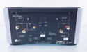 PS Audio BHK Signature 300 Mono Power Amplifier