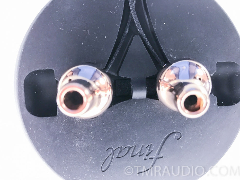 Final Audio Design Piano Forte X Headphones