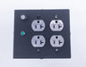 Richard Gray's Power Company RGPC 400 AC / Power Conditioner