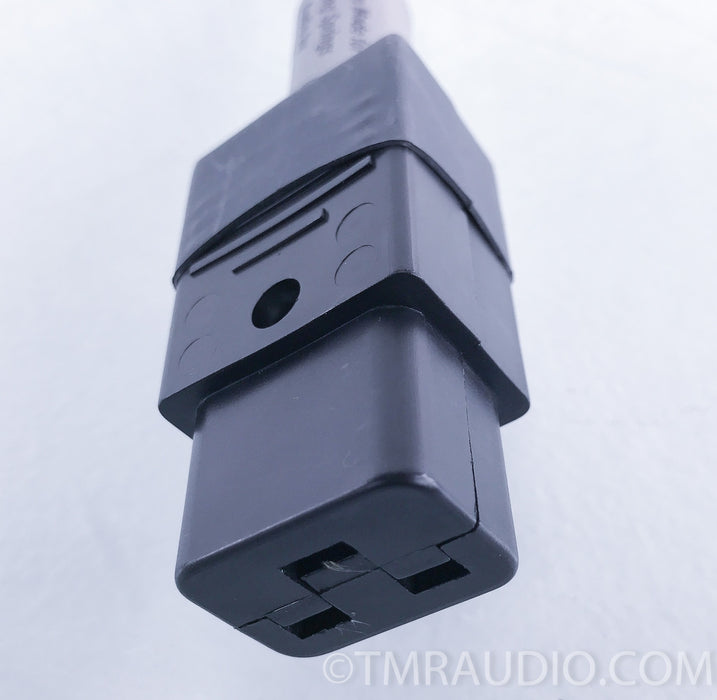Running Springs Audio Duke Power Conditioner