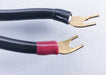 Transparent Audio MusicWave Plus Speaker Cable